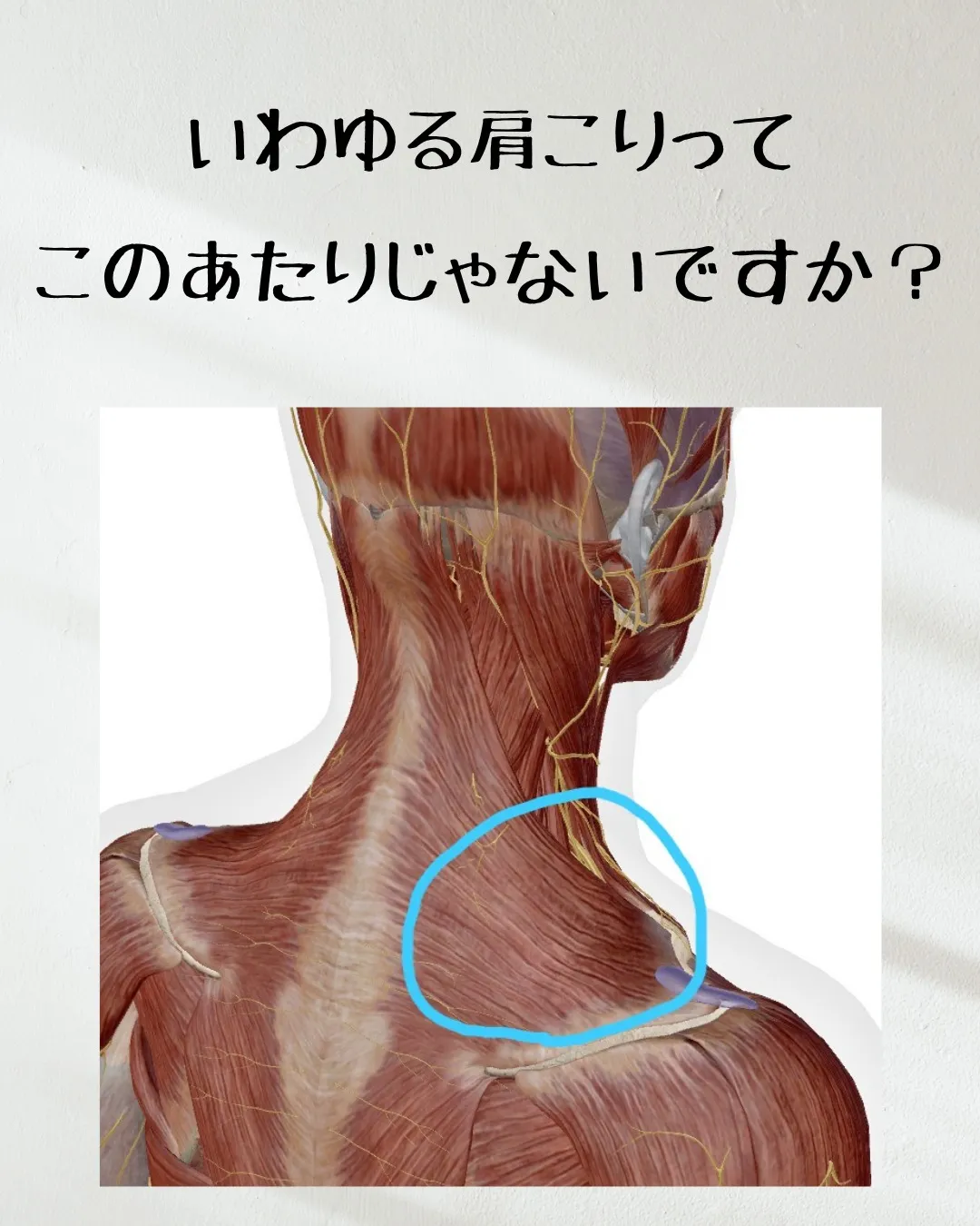 ≪肩こりはなぜ起こるのか≫